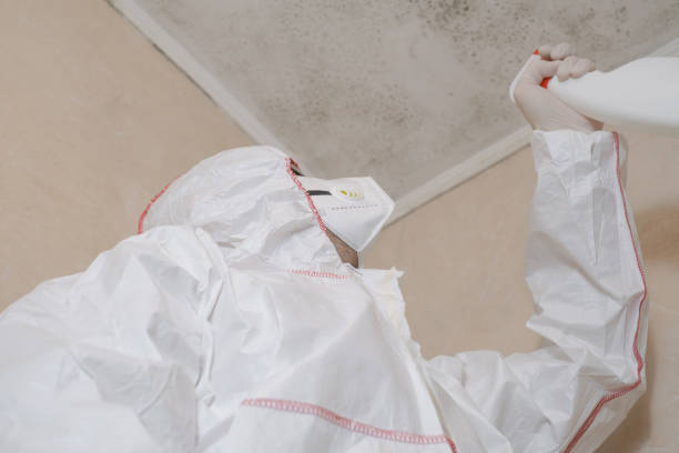 Best Mold Testing and Inspection Services in Armonk, NY